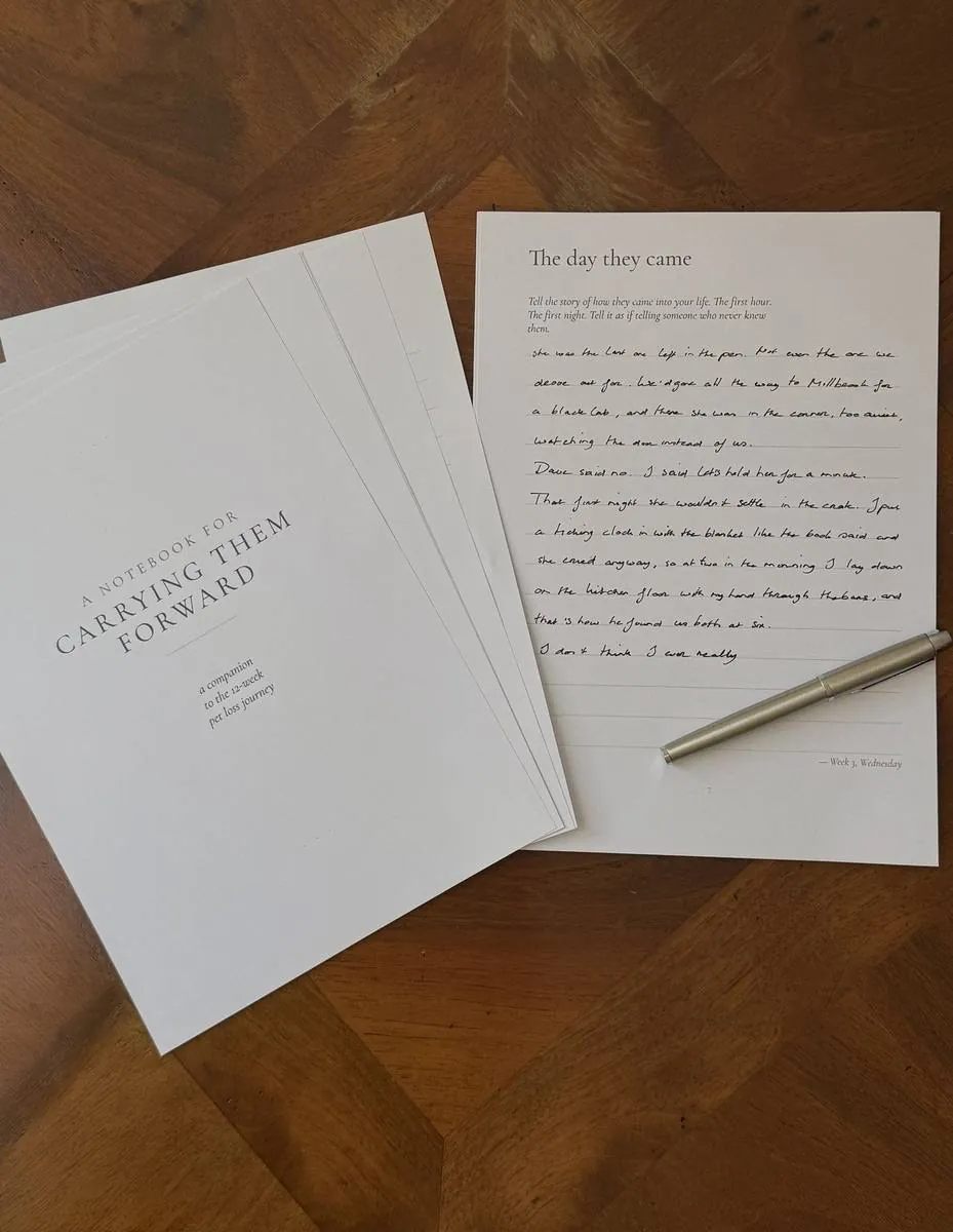 A notebook page filled in by hand: the story of the day they came.
